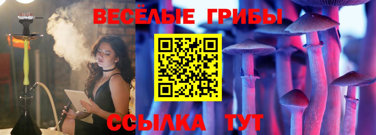Канск  Псилоцибиновые грибы MAGIC MUSHROOMS  Вход с VPN 